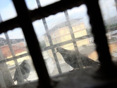 Как рассказать о своем уголовном деле: советы по общению со СМИ